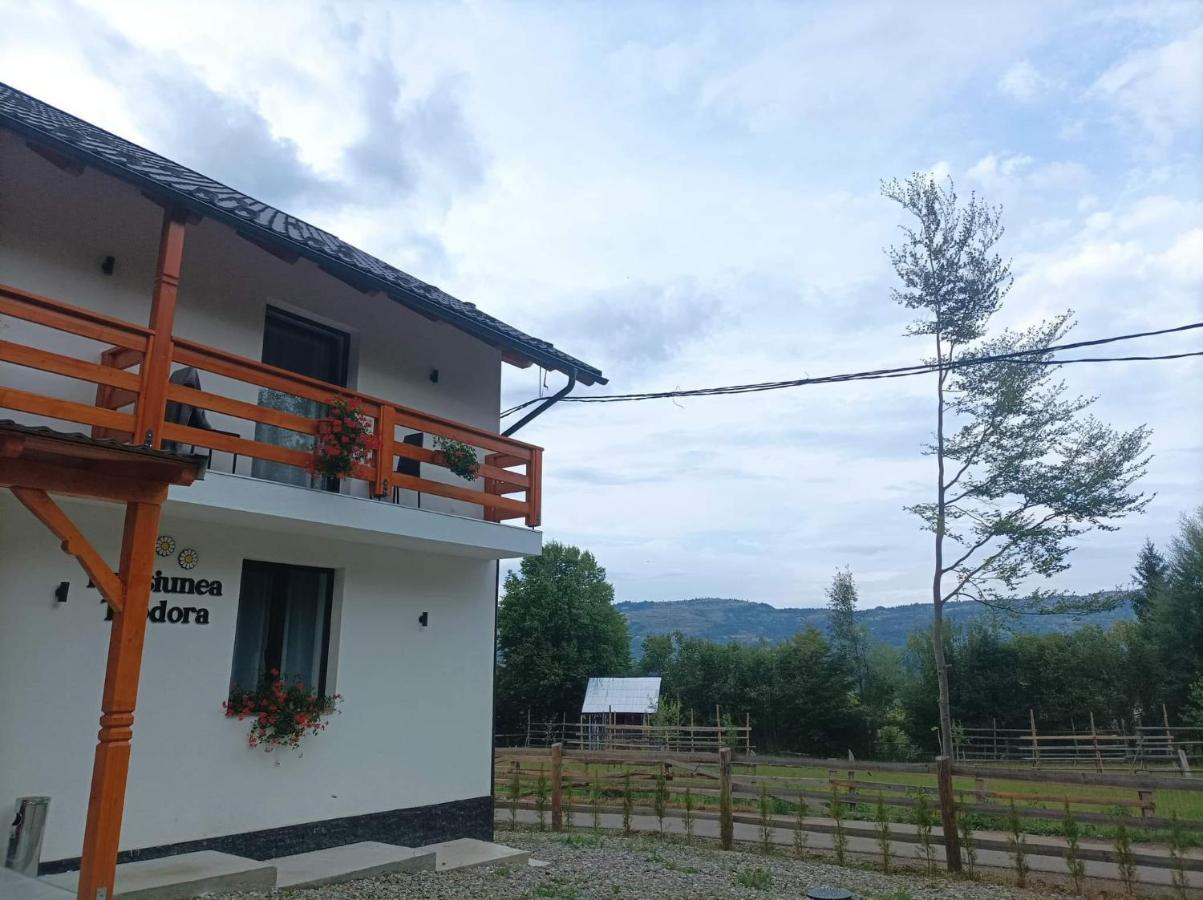 Pensiunea Teodora Moisei Luaran gambar